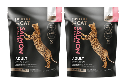 graanvrij kattenvoer zalm multipack