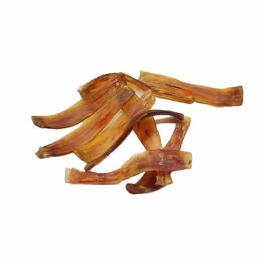 paarden achillespees