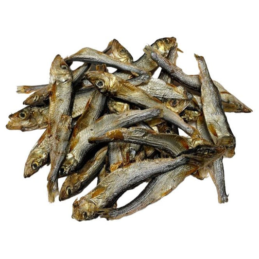 vistrainers spiering ansjovis