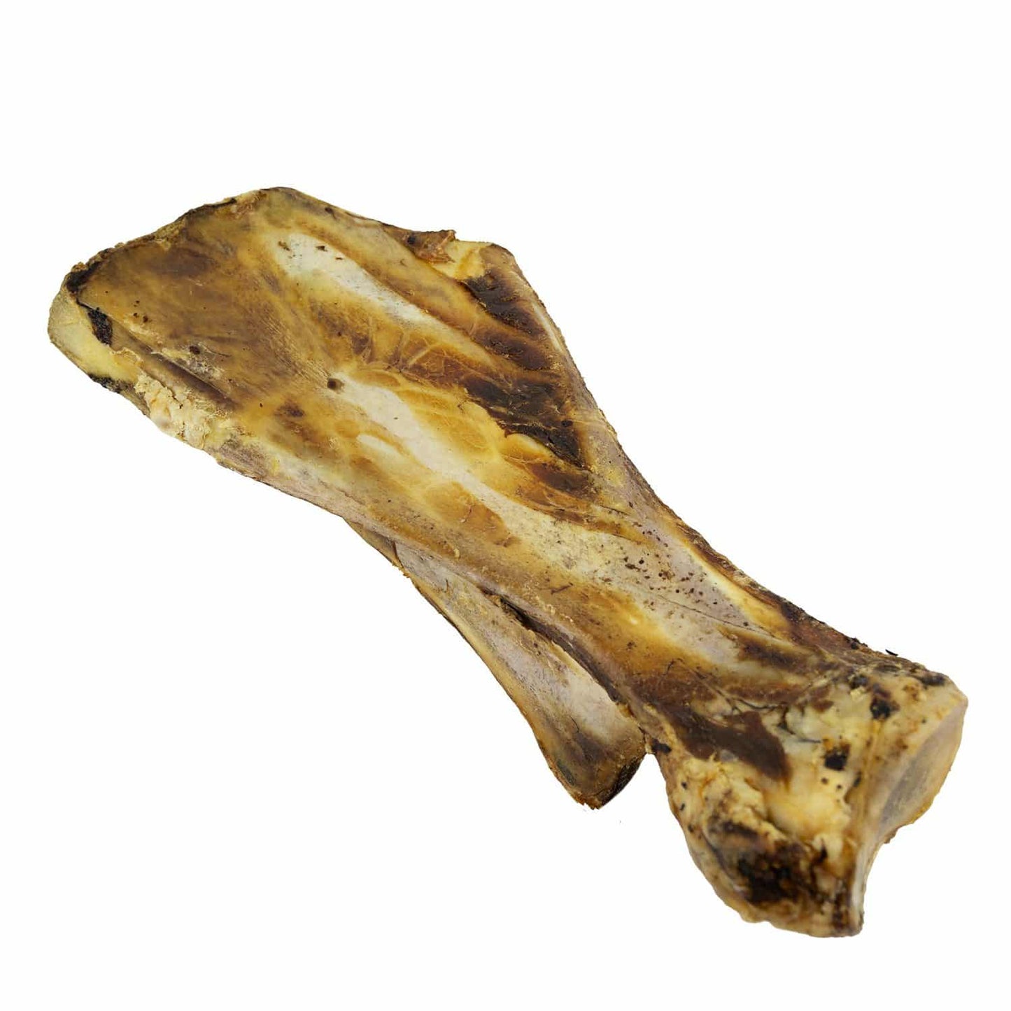 runderschouderblad_2043