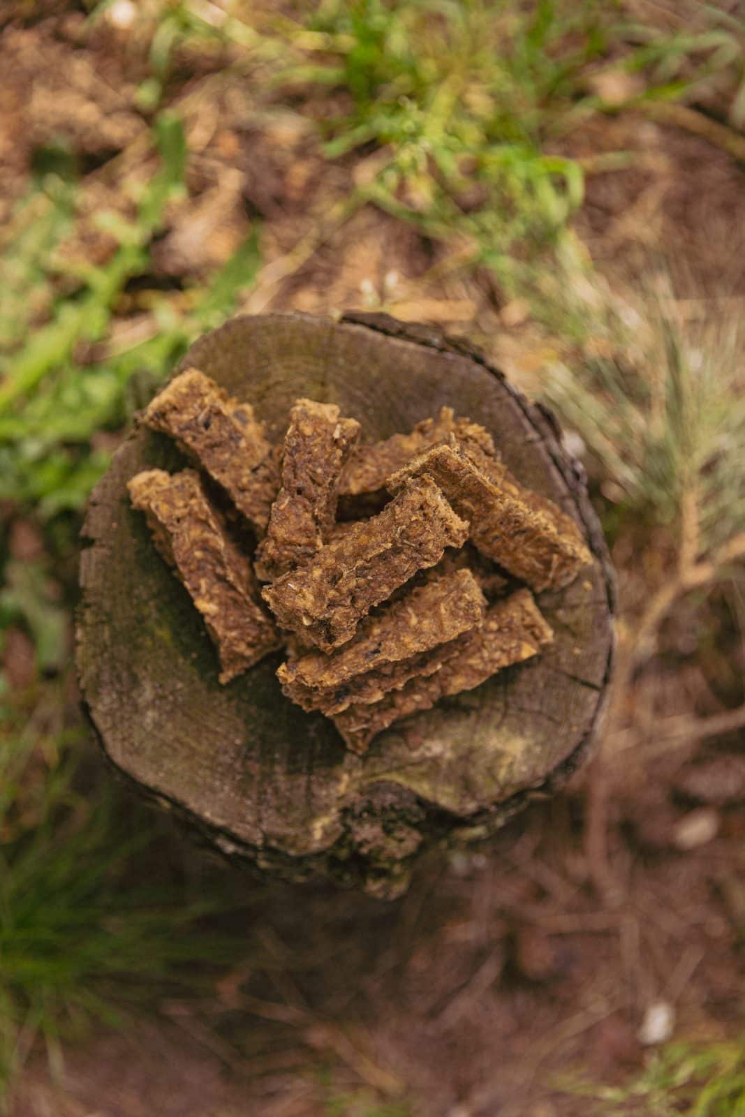 visvingers zalm sfeerfoto boomstam 2