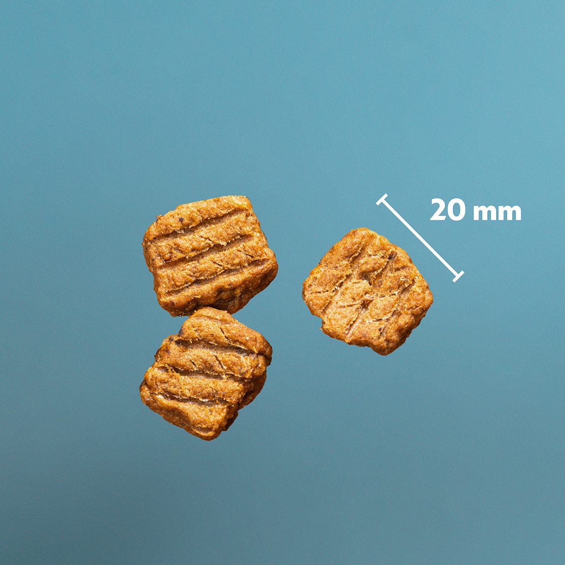 PrimaDog Northern Treats Bites Truthahn für Welpen &amp; Training 150 Gramm