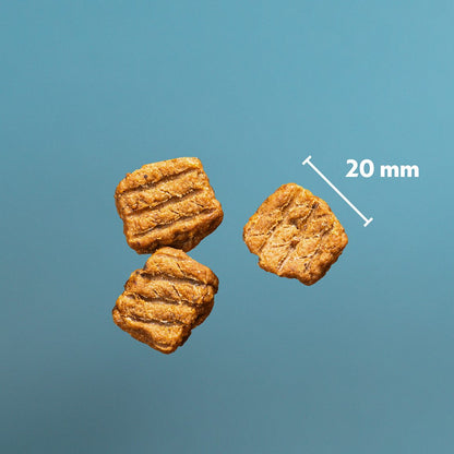 PrimaDog Northern Treats Bites Truthahn für Welpen &amp; Training 150 Gramm