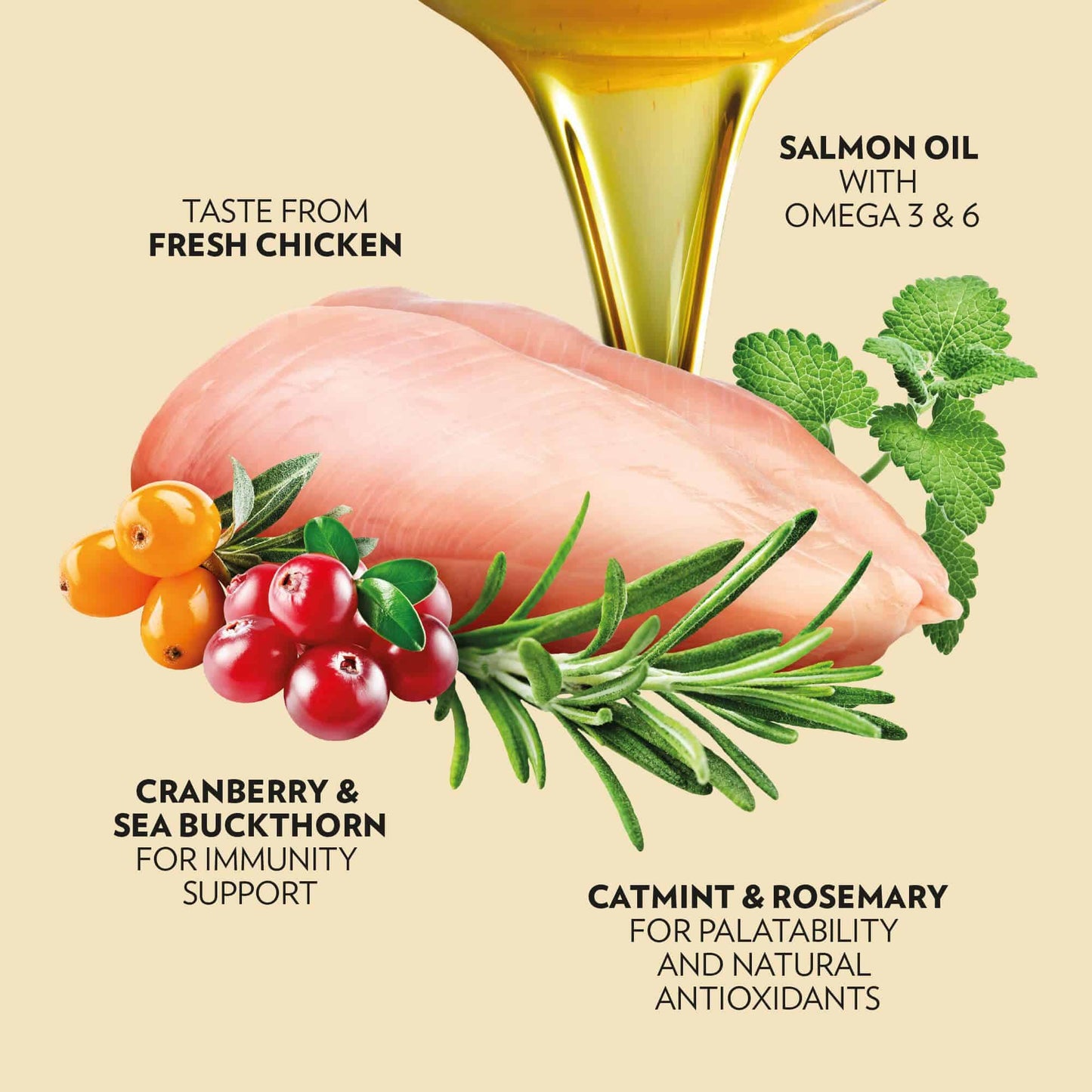 PrimaCat graanvrij kattenvoer kip 400 gram