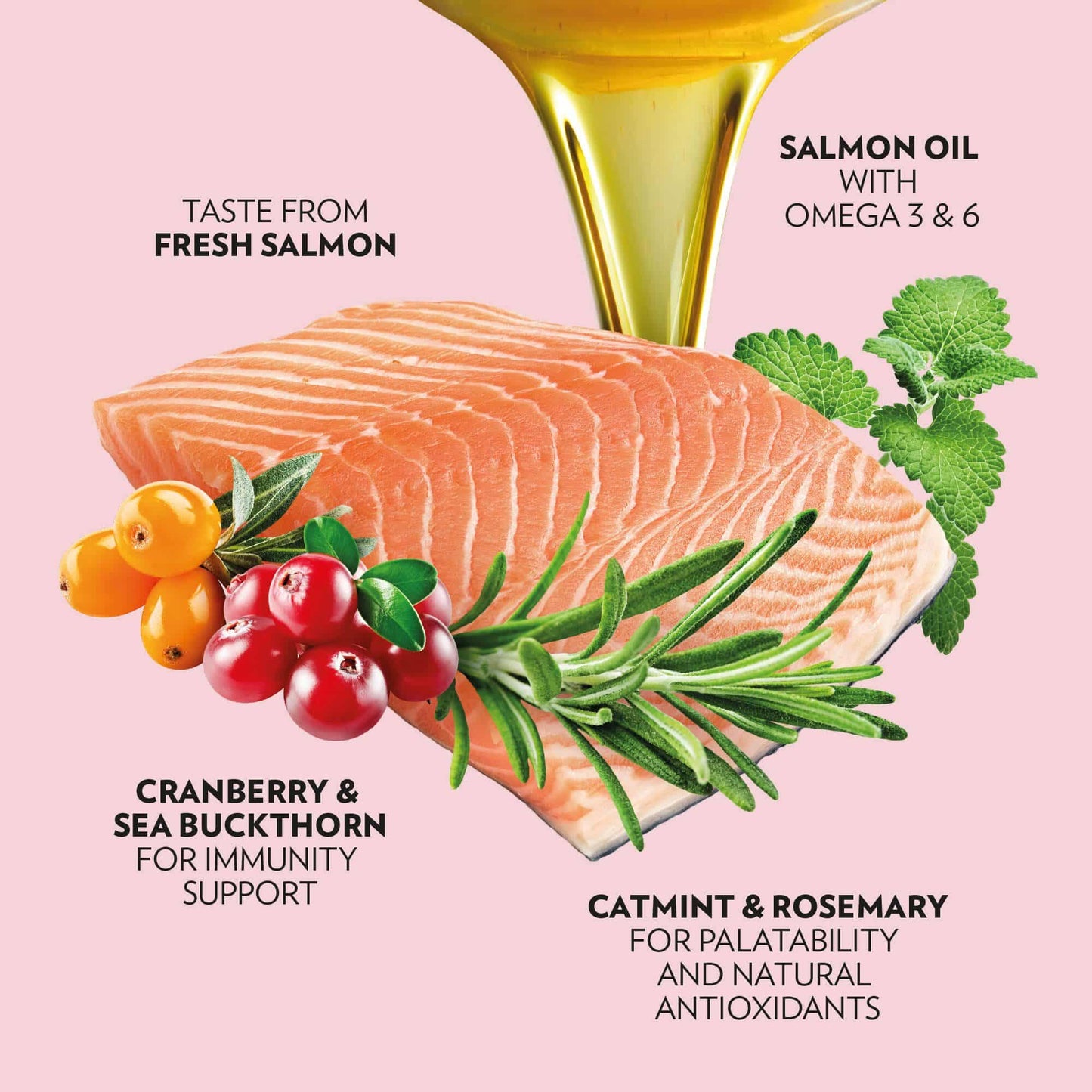 PrimaCat graanvrij kattenvoer zalm 400 gram