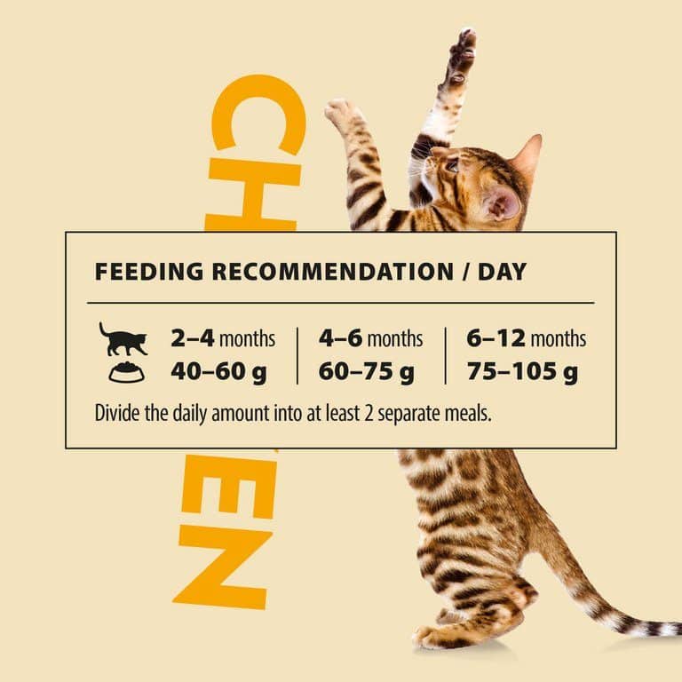 PrimaCat kittenvoer kip