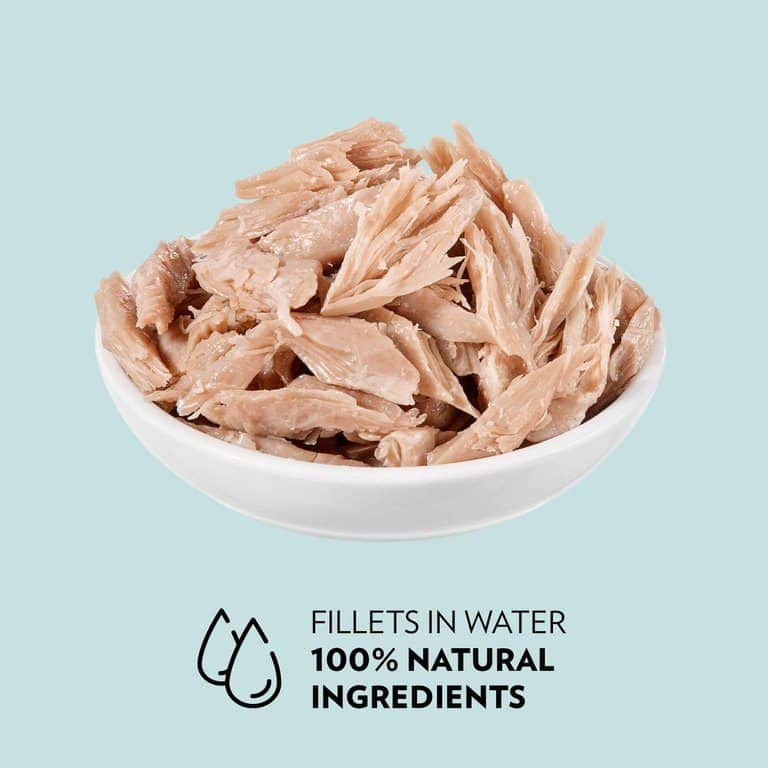 PrimaCat kattenvoer filets Tonijn in water 24 x 50 gram