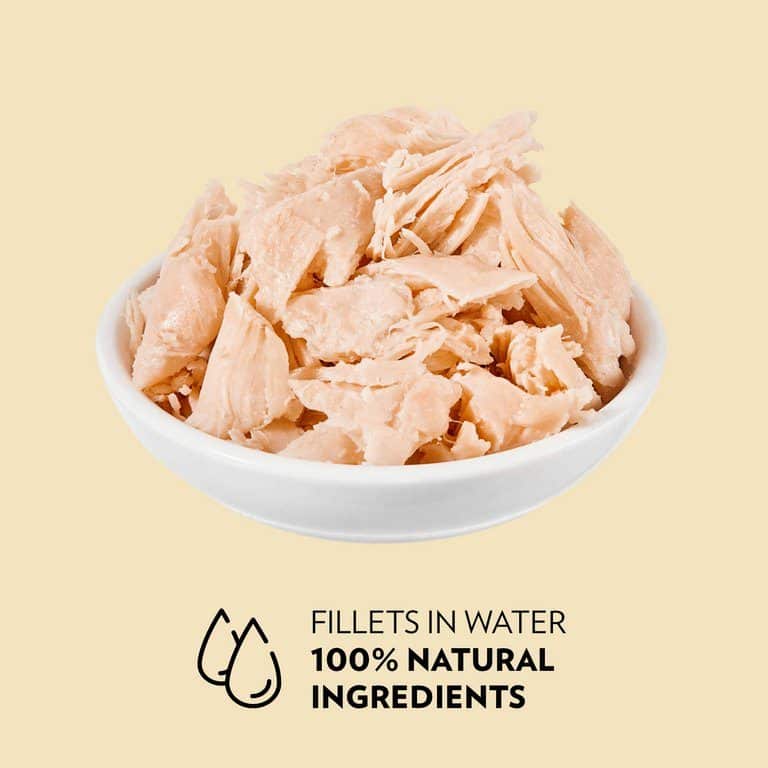 PrimaCat kattenvoer filets Kip met kaas in gelei 24 x 50 gram