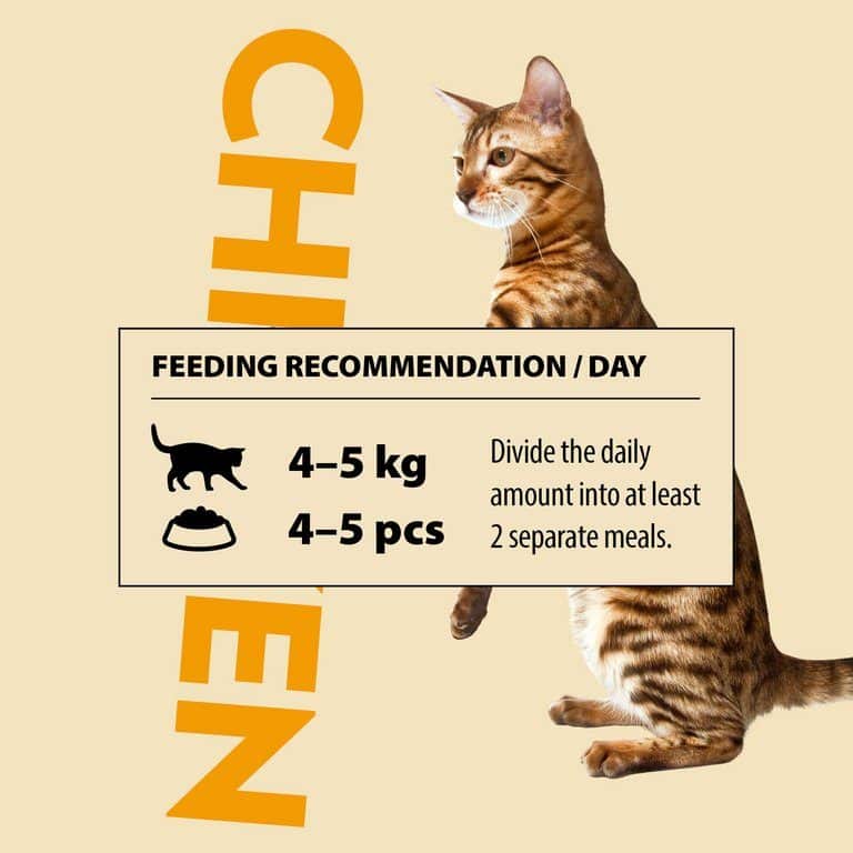 PrimaCat kattenvoer filets Kip met kaas in gelei 24 x 50 gram