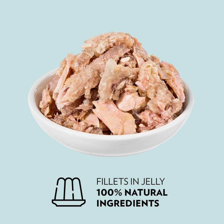 PrimaCat kattenvoer filets Tonijn met kip in gelei 24 x 50 gram