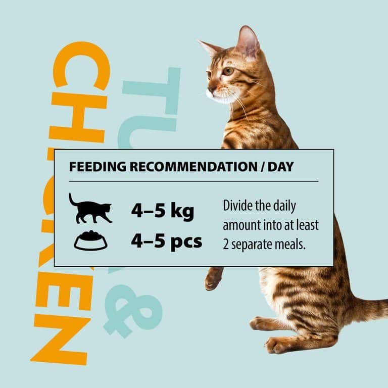 PrimaCat kattenvoer filets Tonijn met kip in gelei 24 x 50 gram