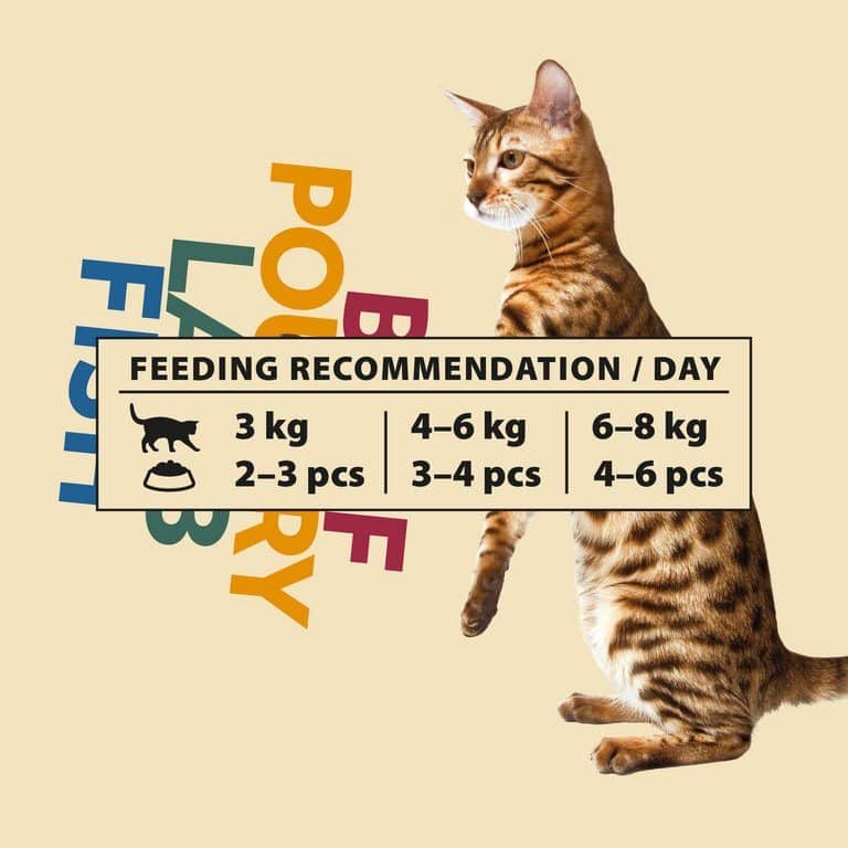 PrimaCat voordeelpakket natvoer in jus 12 x 85 gram