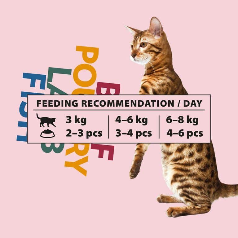 PrimaCat voordeelpakket natvoer in gelei 12 x 85 gram
