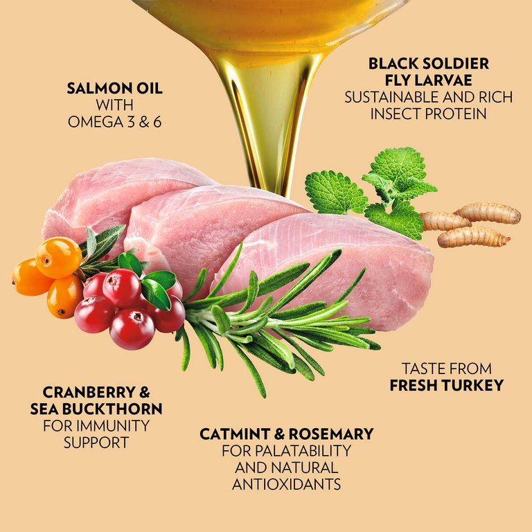 PrimaCat graanvrij kattenvoer kalkoen 1,4 kilo