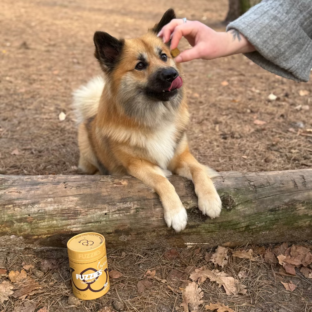 Fuzzies - Hip & Joints