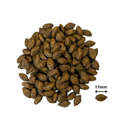 PrimaDog hondenvoer hert & kalkoen 3 kilo graanvrij