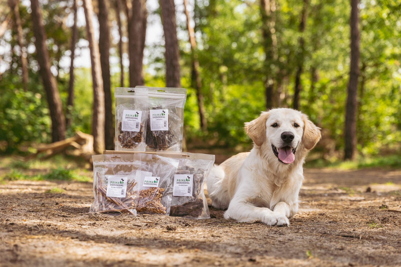 Puppy small kauwbox met hond