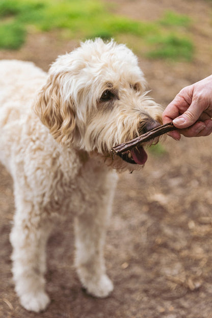 hond met hert kabanos