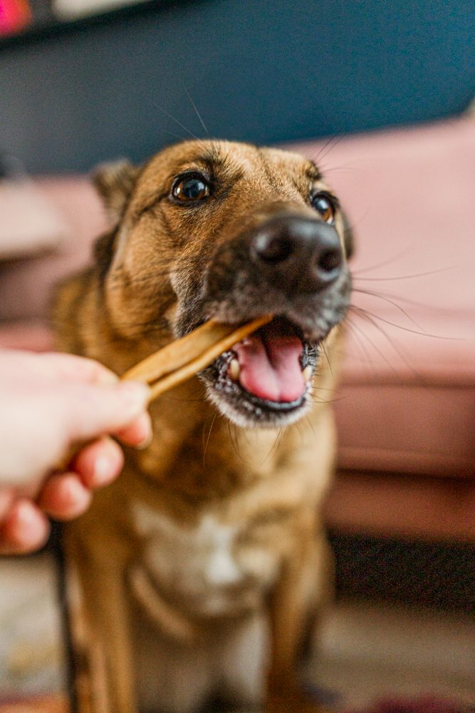 Billie’s hondensnack paardenkophuid 200 gram