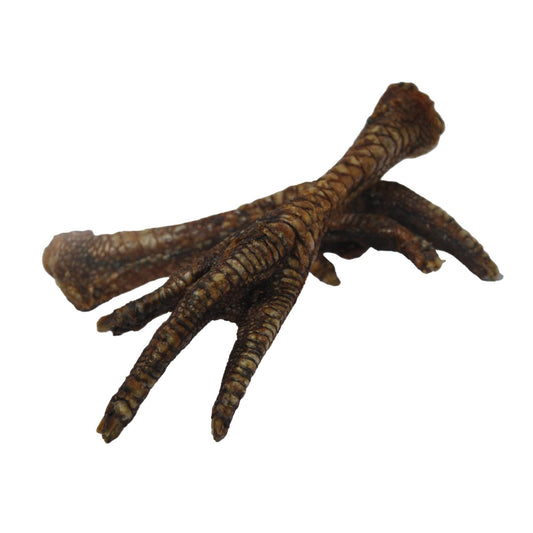 gedroogde kalkoenpoot