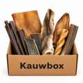 Chew Box for Adult Dogs - Chewers XL