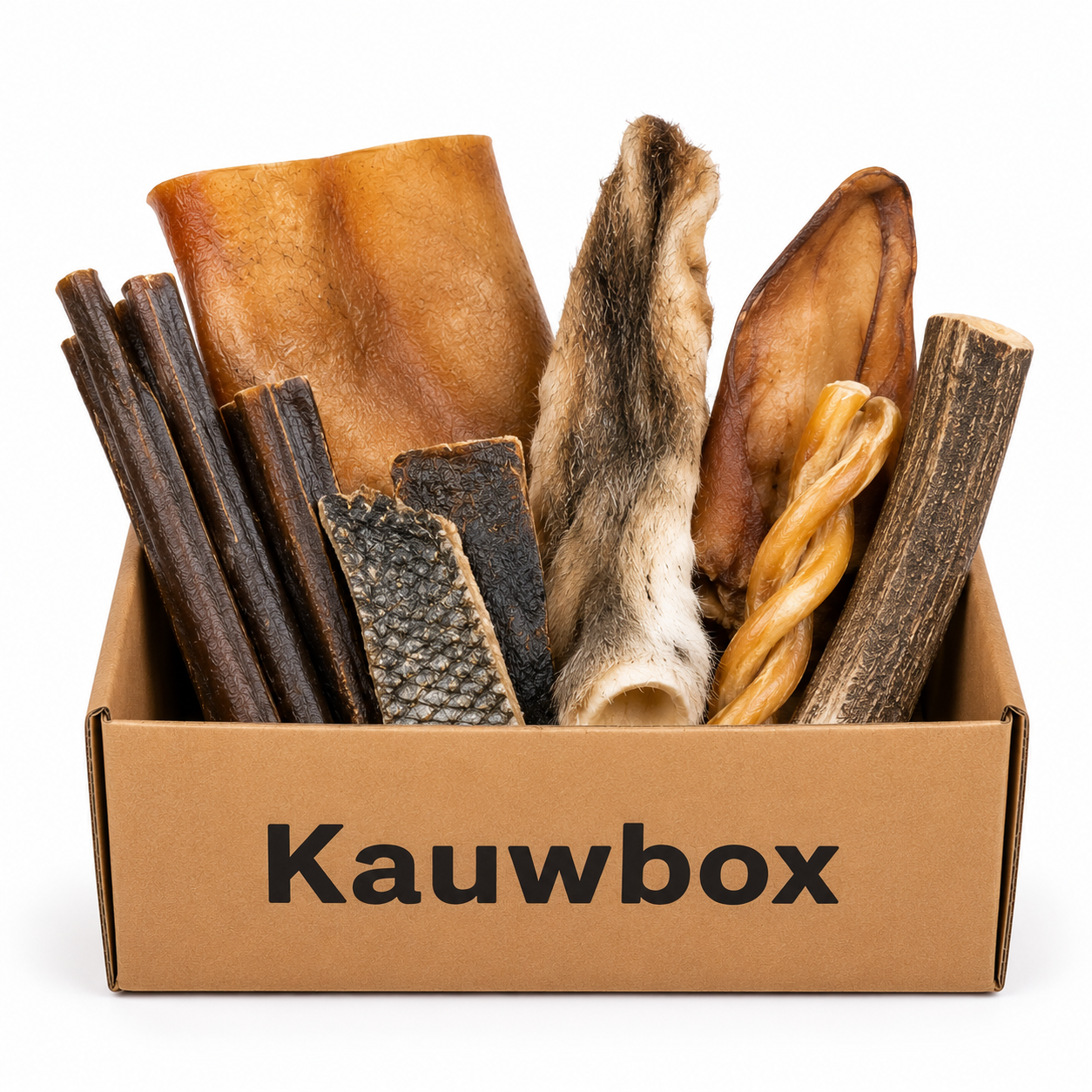 Chew Box for Adult Dogs - Chewers XL