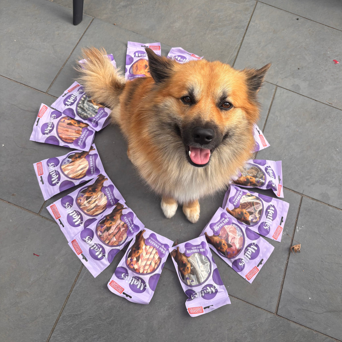 Matties-Snackpaket | 16Stk.