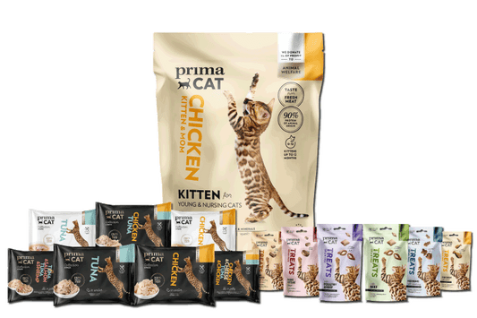 PrimaCat kattenvoer kitten Kip 1,4 kilo + snackpakket + natvoerpakket