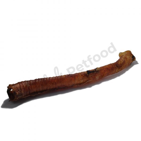 lange paardenluchtpijp