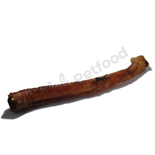 lange paardenluchtpijp