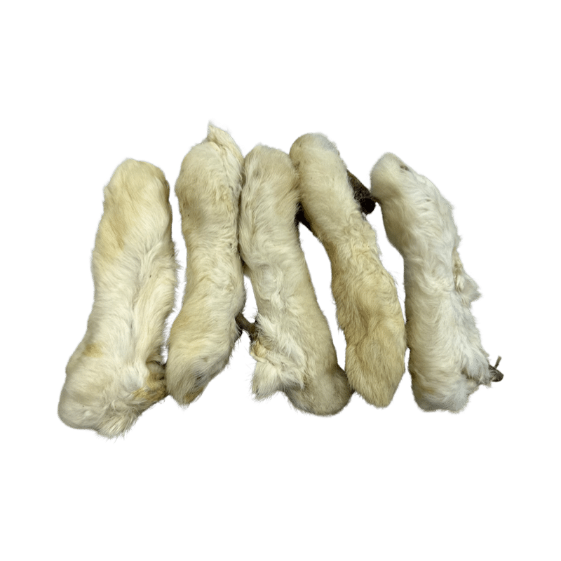 konijnenpoten met vacht