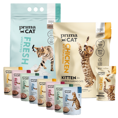 proefpakket kitten kip