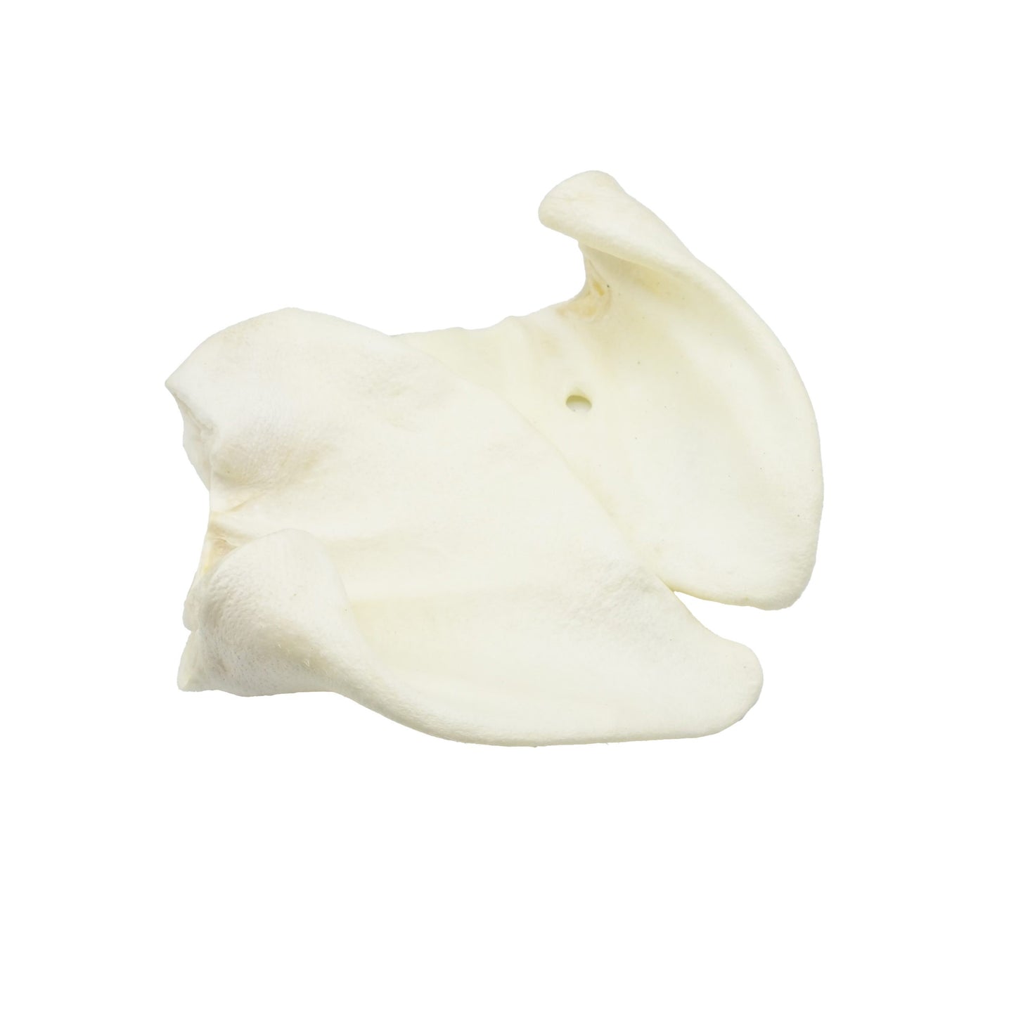 varkensoor met honing