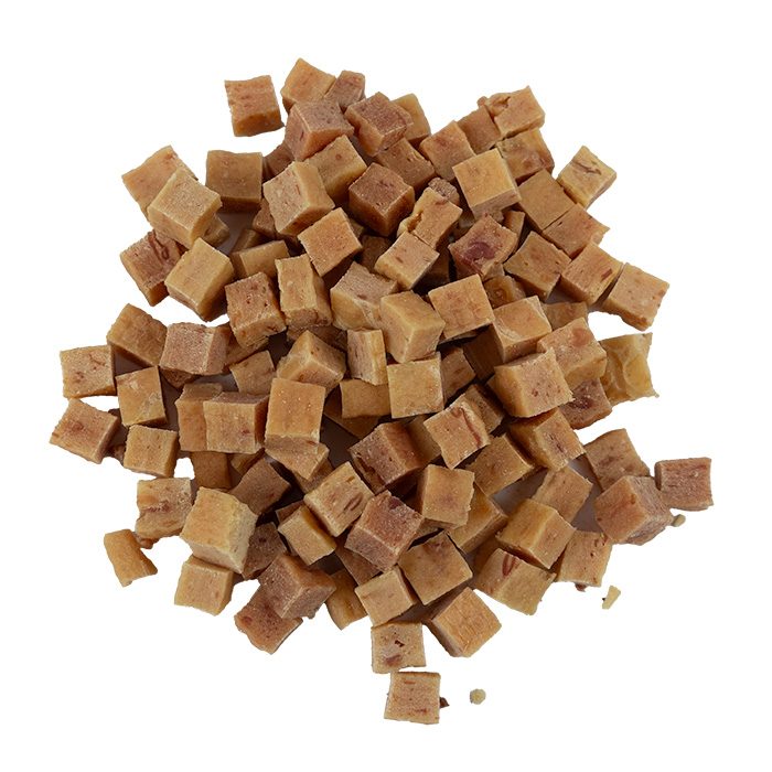 Trainers struisvogel