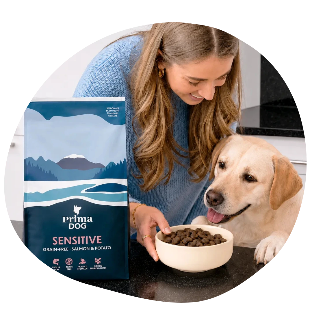 Hond eet PrimaDog hondenvoeding