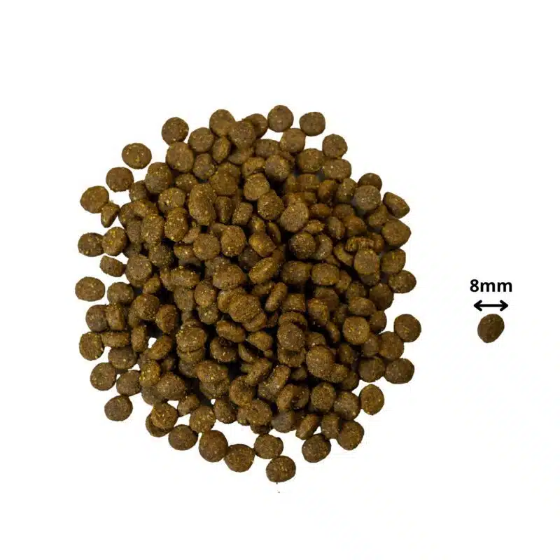 PrimaDog hondenvoer puppy kip & aardappel 10 kilo - Afbeelding 2