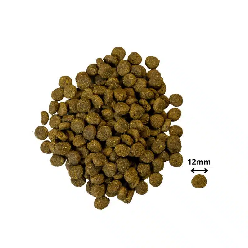 PrimaDog hondenvoer lam & aardappel 10 kilo adult - Afbeelding 2