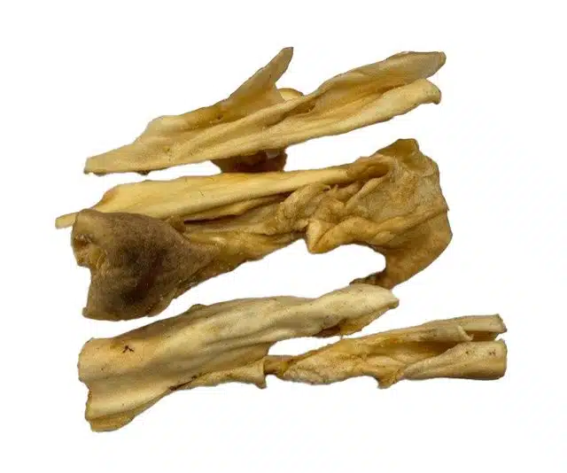 lamskophuid