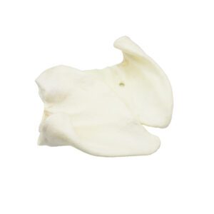 varkensoor met honing