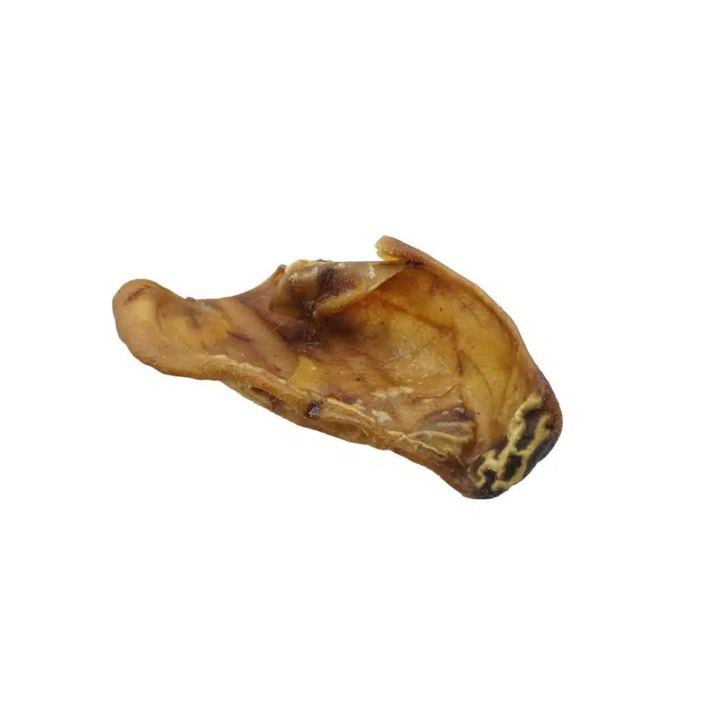 varkensoren gedroogd