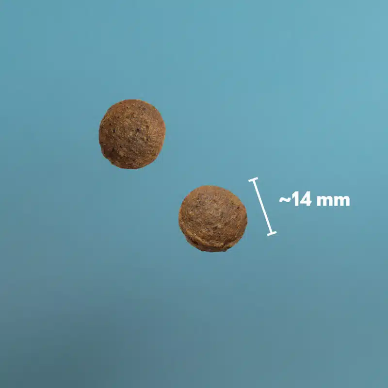 PrimaDog hondenvoer eend & haring 10 kilo adult graanvrij - Afbeelding 6