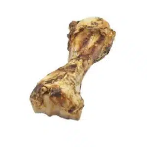 dino xl
