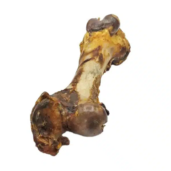 dino xxl