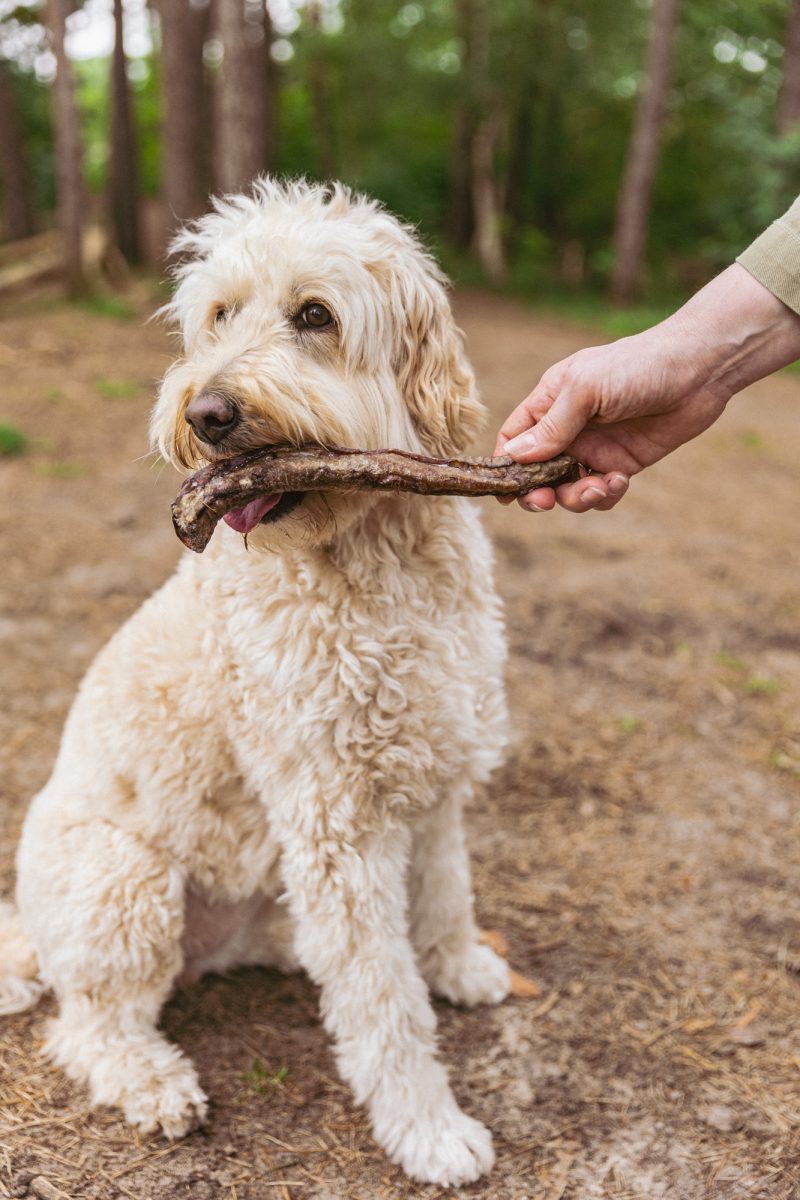 Billie’s hondensnack runderluchtpijp 15 centimeter 1 stuk - Afbeelding 2