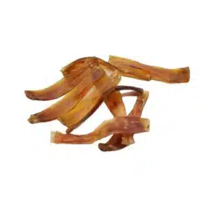 paarden achillespees