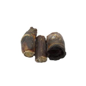 paardenpenis