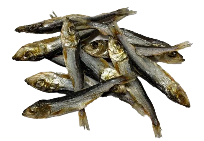 sprot