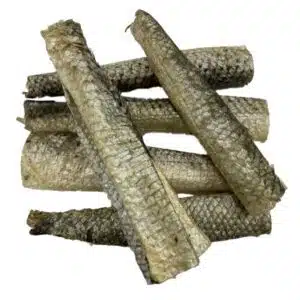 zalmhuid