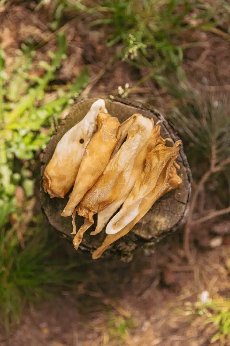 geitenoren