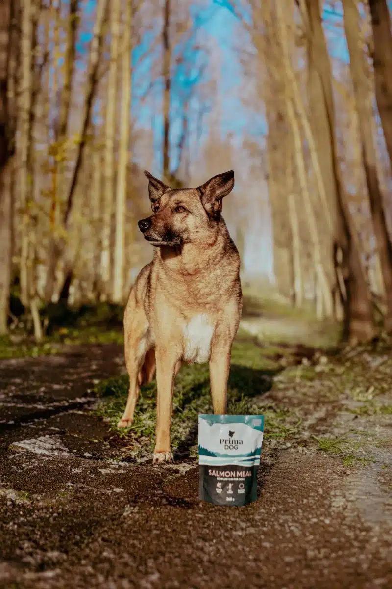 PrimaDog hondenvoer natvoer zalm zakje 260 gram - Afbeelding 2